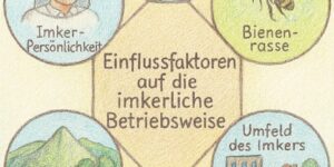 Titelbild für imkerliche Betriebsweise