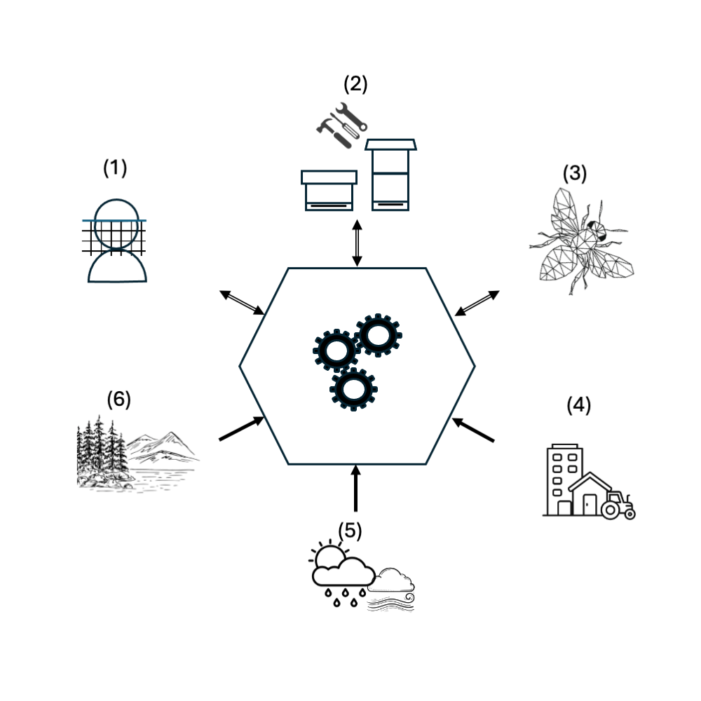 Das Bild zeigt sechs Einlussgrößen auf die imkerliche Betriebsweise