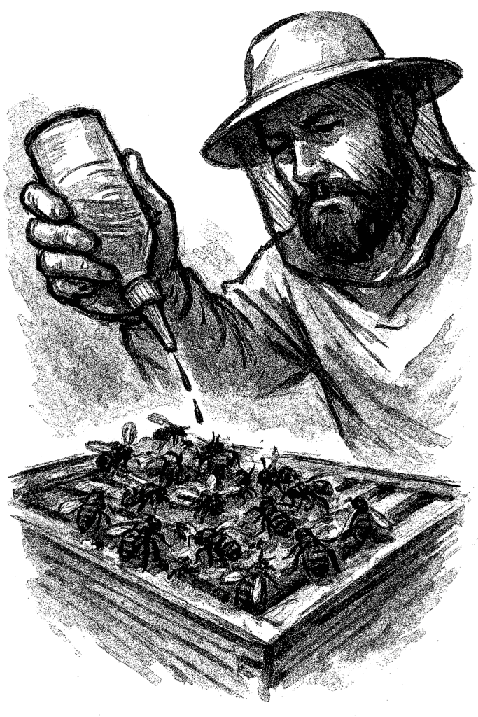 Titelbild Restentmilbung - Tuschezeichnung eines Imkers bei der Oxalsäureträufelung