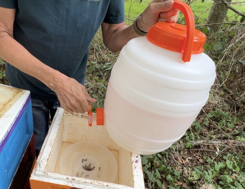 Sirup in Fütterer einfüllen am Bienenstand mit Claus Brell. Das Bild zeigt die Schutzzarge, auf die Ecke lässt sich bequem das Speidel-Fass aufstellen und der Futter-Sirup fließt direkt und kleckerfrei in die Futterschale